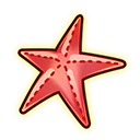 ヒトデ.png