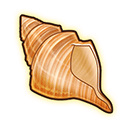 貝殻.png